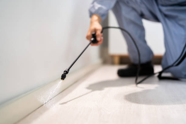 Licensed Wasp Removal service in Florence, AL - Show Me Pest Control