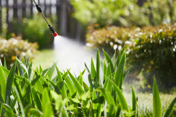 24/7 Emergency Wasp Removal experts in Florence, AL