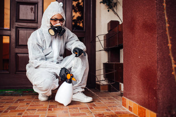 Reliable Wasp Removal contractor in Florence, AL by Show Me Pest Control